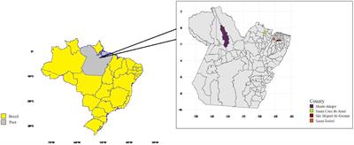 Impact of rearing systems in the Eastern Amazon on cholesterol, β-carotene and vitamin E homologues in steer